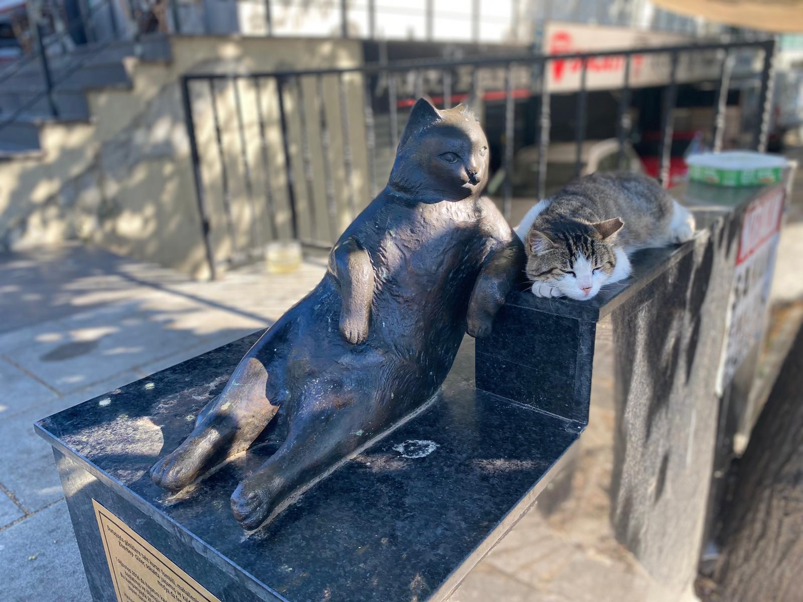 Pati izi: Taşa yontulan merhamet